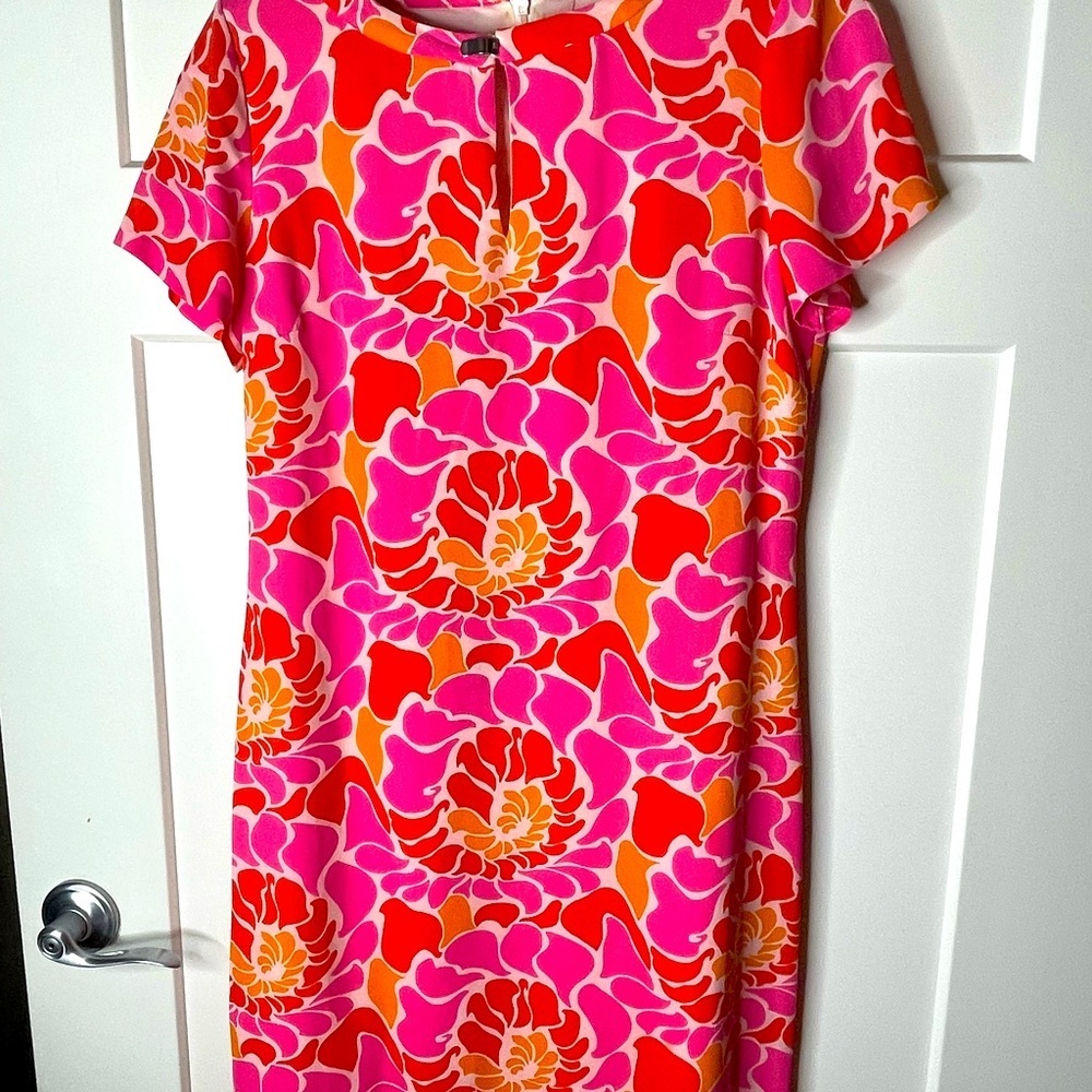 Banana Republic Pink and Orange Dress | Size 10